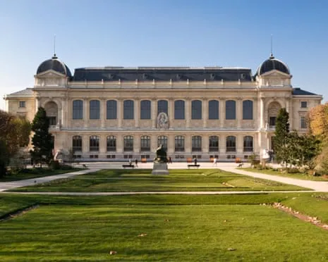 Historic Gold Specimens Stolen in Bold Robbery at France's Natural History Institution