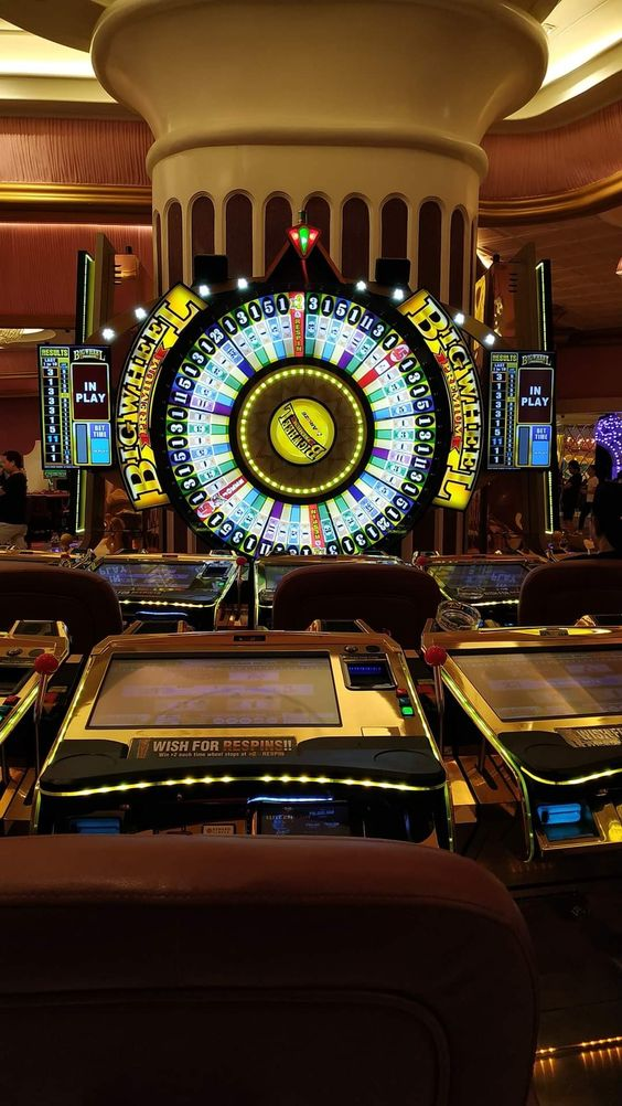 The World of Casinos: A Comprehensive Guide